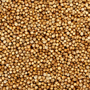 Ess. de Graines de Coriandre