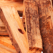 Essence de Bois de Santal