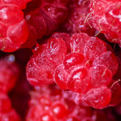 Accord Framboise